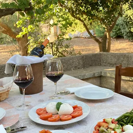Salento Pietralata Alloggio per agriturismo Andrano
